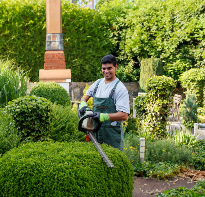 Landscaping Services service