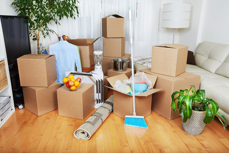 Move-Out Cleaning service